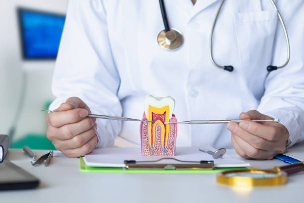 Best Orthodontic Emergency Dentist in Deans, NJ